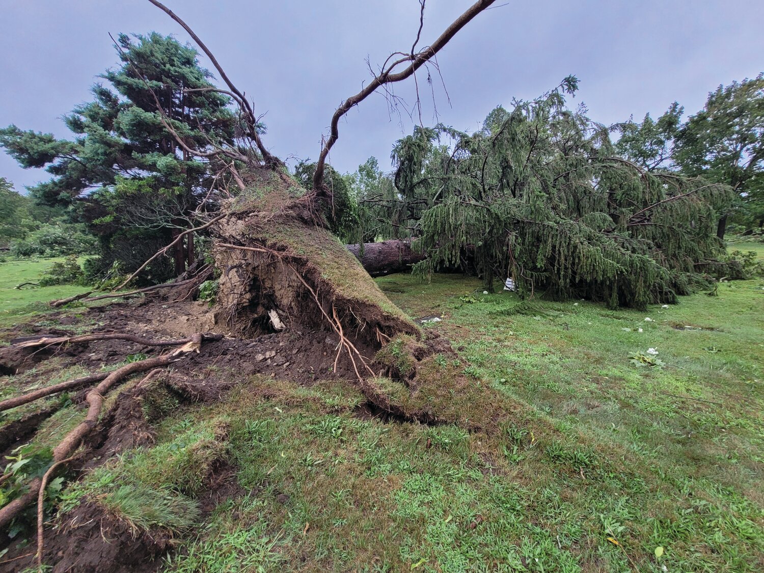 DIRECT HIT: Highland Memorial Park Cemetery in Johnston seems to have taken a direct hit by this morning's tornado. A path of destruction: fallen trees, scattered planters, graves unearthed and huge trees toppled.